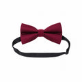 Papion bordo elegant